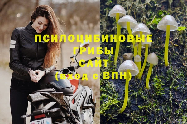 спиды Кулебаки