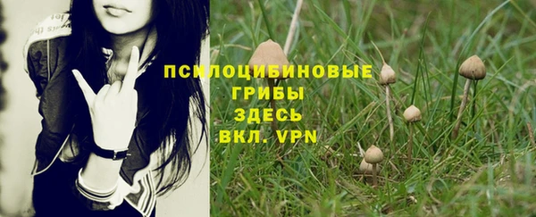 MDMA Premium VHQ Нефтекумск