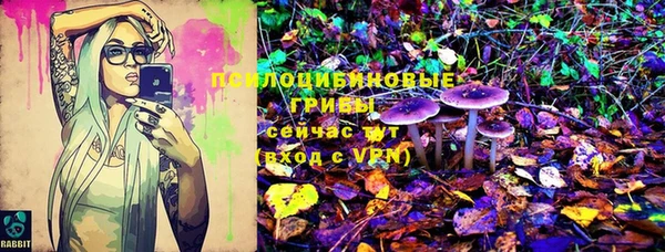 марки lsd Абаза