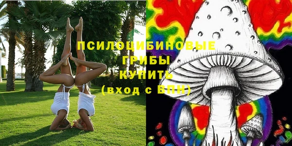 молекула духа Кукмор